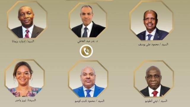 اتصالات مصرية أفريقية مكثفة لل...