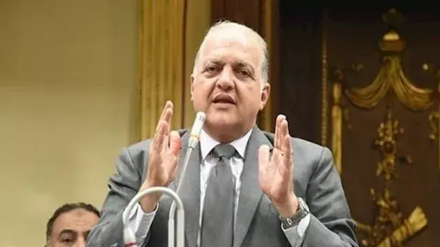 سؤال برلماني لمواجهة مافيا سرق...