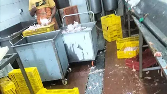 ضبط وإعدام 2.8 طن من الأغذية و...