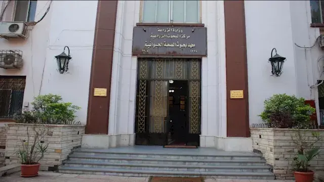 الزراعة: تجديد وزيادة نطاق الا...