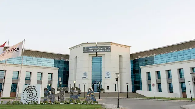 تنظيم الاتصالات يكشف موعد تطبيق ضوابط حسابات الأطفال