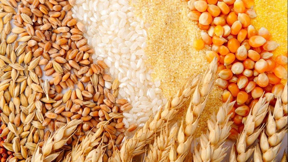 بشرى للمزارعين.. انخفاض الإجها...