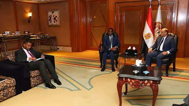 وزير العمل يبحث مع نظيره السود...