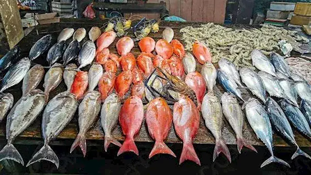 أسعار الأسماك والمأكولات البحرية في سوق العبور اليوم.. 65 جنيهًا للكيلو