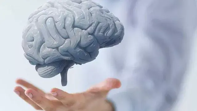 لماذا يتوقف الدماغ فجأة عن التفكير أثناء النقاش والخلافات مع الآخرين؟
