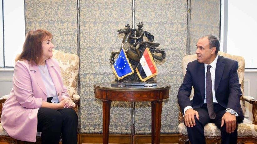 وزير الخارجية يبحث مع المفوضة...