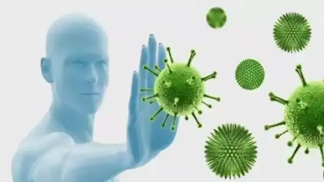 3 خضراوات ينصح بإضافتها إلى النظام الغذائي قبل حلول الشتاء