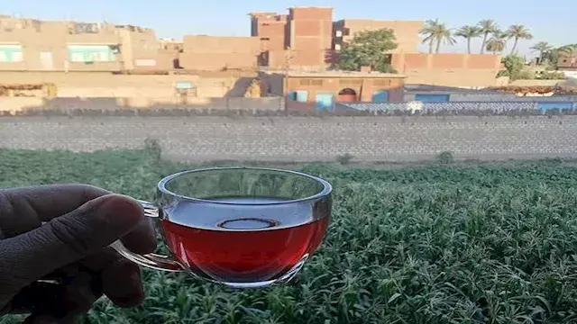من المقاهي إلى خطابات الرؤساء....
