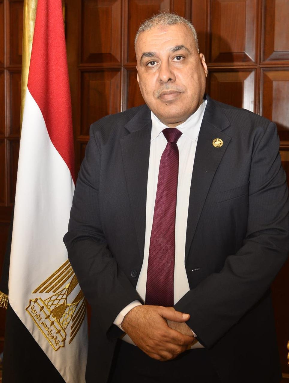 النائب محمد أبو النصر يؤكد ضرو...