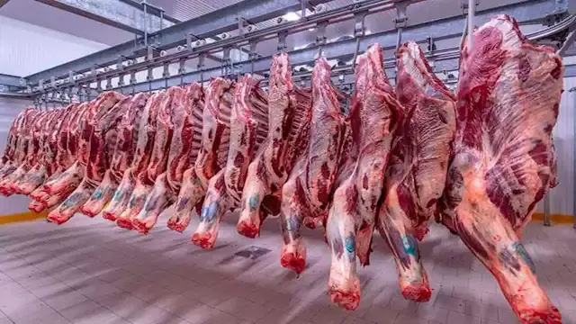 انخفاض أسعار العدس والجبن والل...