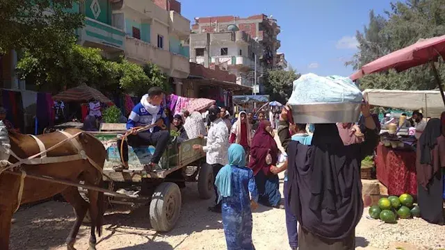 تقرير حكومي.. 29.7% من سكان مص...
