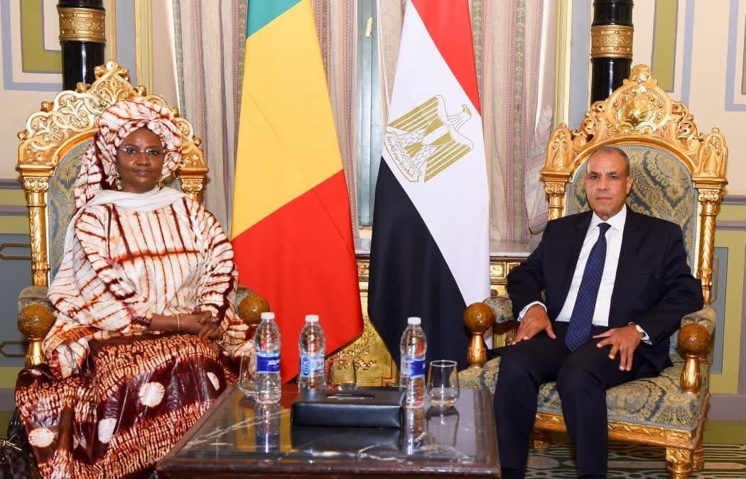 وزير الخارجية: نعتز بالعلاقات...