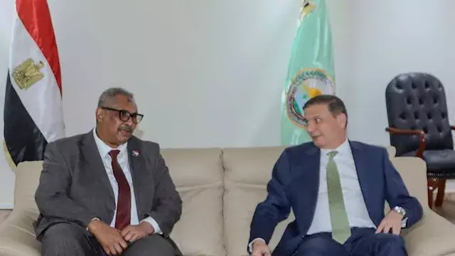 تشكيل فريق عمل مصري سوداني لدع...
