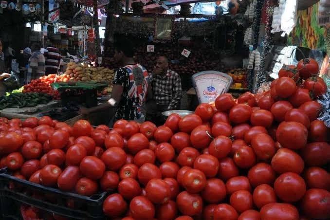 أسعار الطماطم تقفز إلى 30 جنيه...