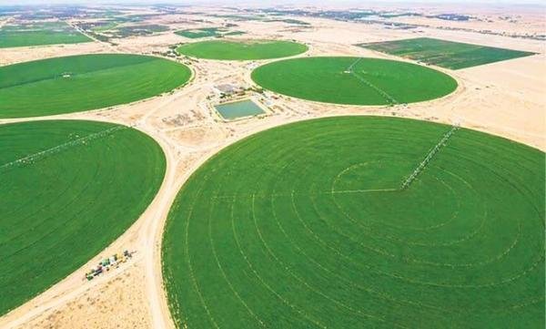 رجال أعمال: مشروع الدلتا الجدي...