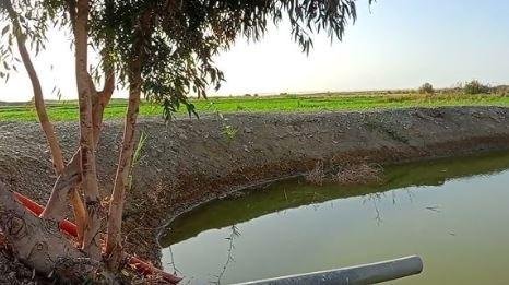 مصرع عامل زراعي غرقا داخل بركة...