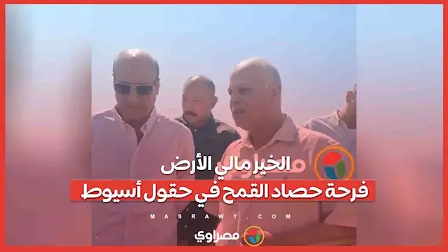 الخير مالي الأرض.. فرحة حصاد القمح في حقول أسيوط