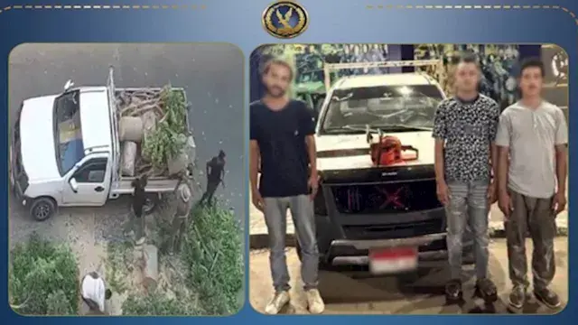 جريمة في وضح النهار.. ضبط 4 مت...