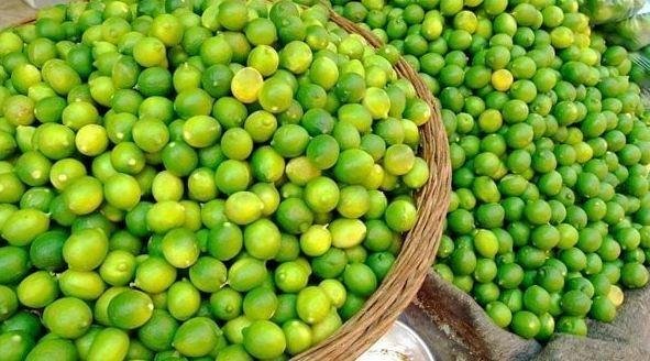 نقيب الفلاحين: ارتفاع أسعار ال...