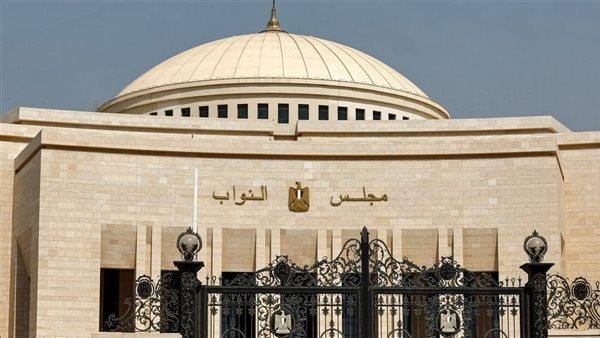 وزير شئون المجالس النيابية ينف...