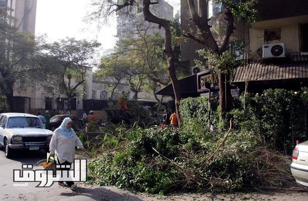 «الشروق» تنشر أول مشروع قانون لحماية الغطاء الأخضر.. قاعدة بيانات وطنية وحظر قطع أو تقزيم الأشجار