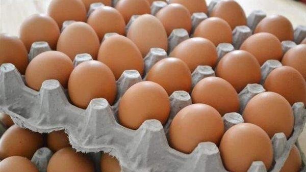شعبة بيض المائدة بعد انخفاض ال...