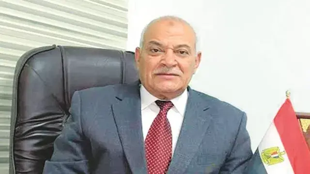 شعبة الدواجن: إنتاجنا بلغ 17.5 مليار بيضة والأسعار وصلت 60 جنيهًا رغم أن التكلفة 107