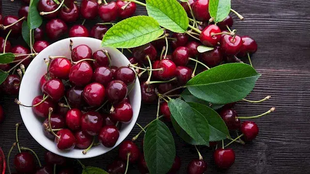 ماذا يحدث لجسمك عند تناول الكر...