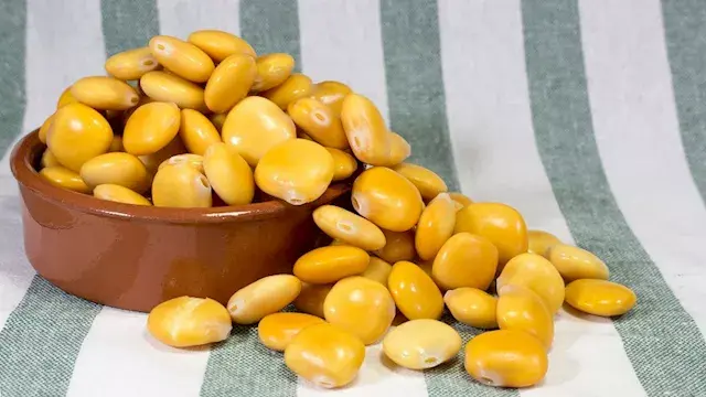 في عيد الأضحى.. ماذا يحدث لجسم...