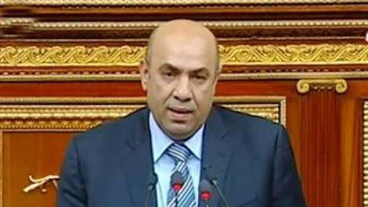 النائب علاء عبدالنبي يطالب بتع...