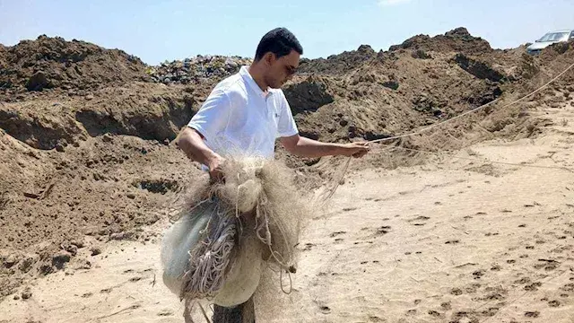 إنقاذ 200 طائر مهاجر وإزالة 75...