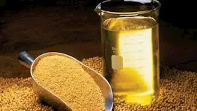 دراسة تحذر: زيت شائع قد يرتبط...