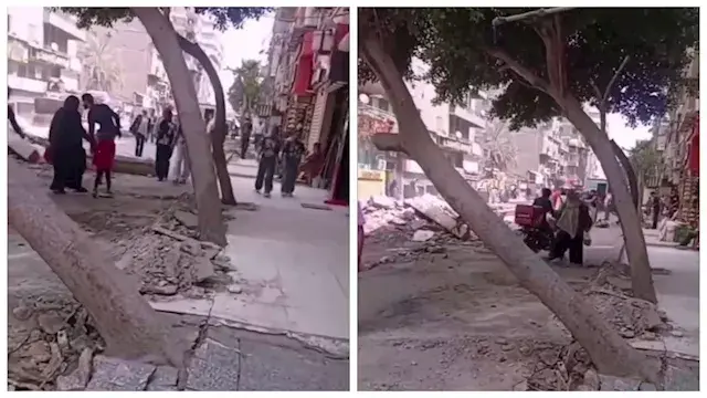 بيان حكومي ينفي قطع شجرة في عي...