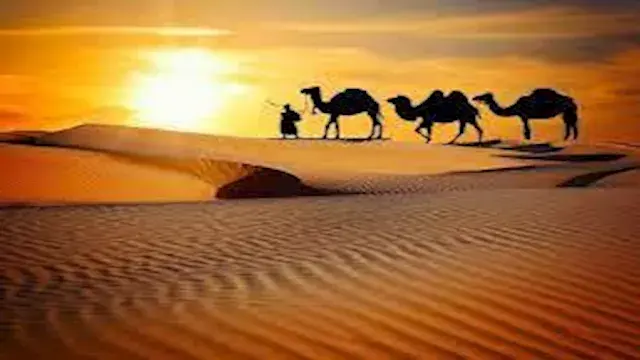مركز الفلك يكشف موعد رأس السنة...