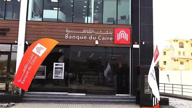 رئيس وحدة الشركات: إرجاء طرح ب...