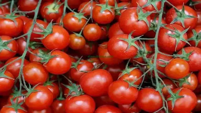 بعد وصول الكيلو إلى 70 جنيها.....