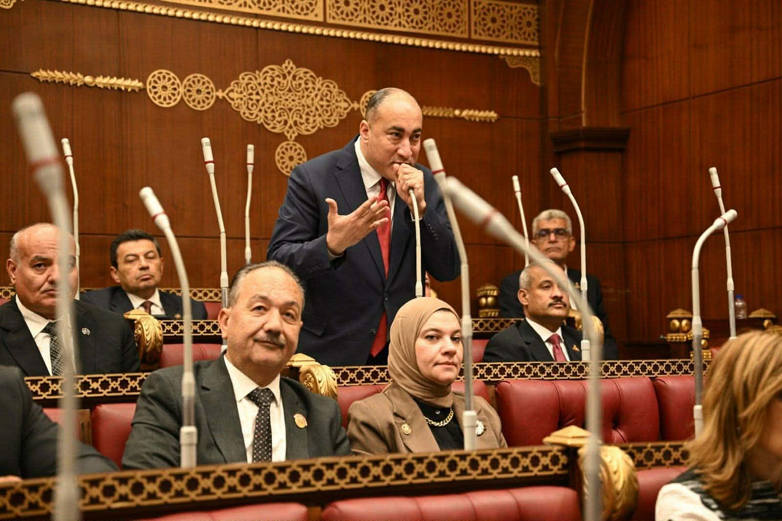 النائب عمرو رشاد يقترح إصدار م...