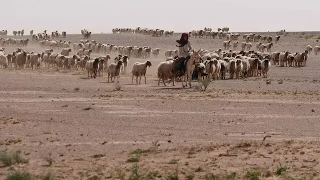 استُخدمت في حرب إيران.. نيويور...
