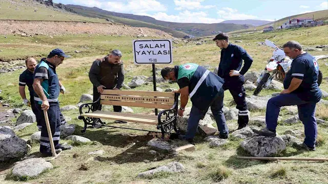 بعد توافد الزوار.. مقعد جديد ب...