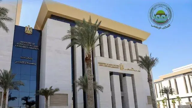 "الزراعة": 650 ألف فدان لمحصول...