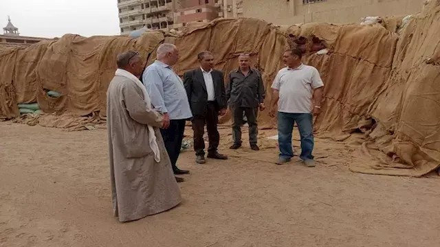 بالصور- توريد 53.7 ألف طن قمح محلي وانتظام الحصاد بأسيوط