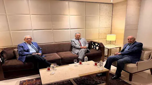 عمرو موسى: ثلاثة أجيال من الدب...