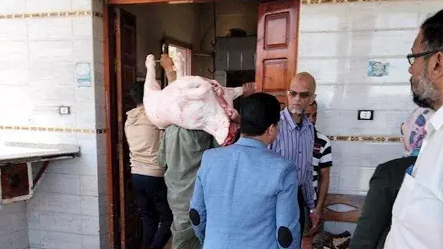 حملات مكثفة لمواجهة ذبح "البتل...