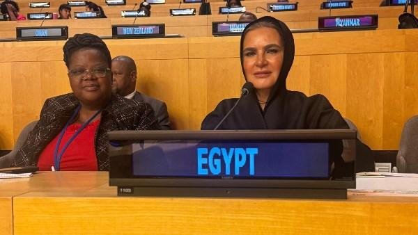 إشادة أممية بجهود مصر في التنم...
