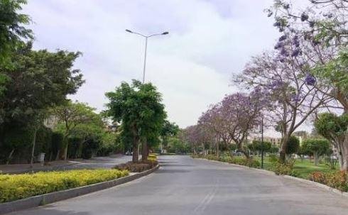 مصر ومحاولة استعادة الظل والخض...