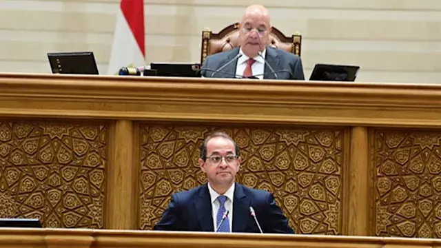 وزير المالية: تحديد سعر صرف ال...