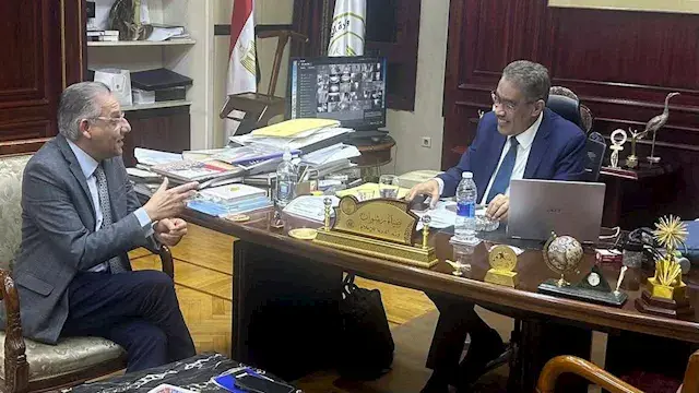 ضياء رشوان يكلف الكاتب الصحفي...