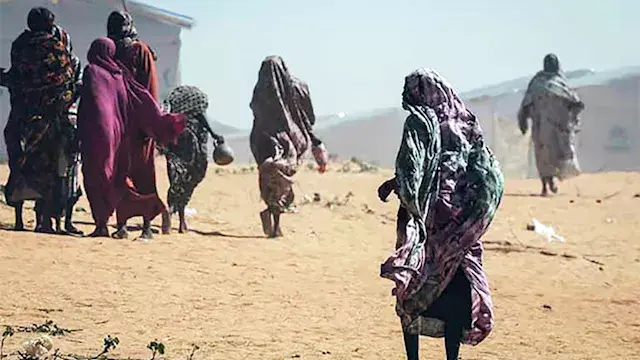 من الفاشر إلى تشاد.. روايات ال...