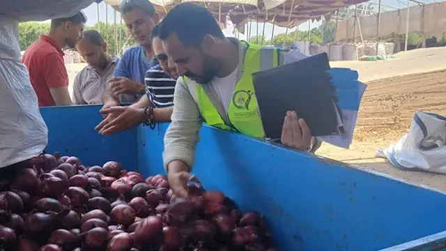 سلامة الغذاء: رقابة مستمرة على...