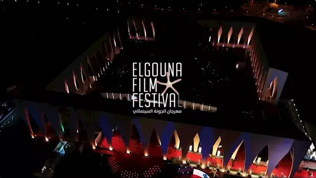 "الجونة السينمائي" ومهرجان روتردام يطلقان مبادرة Safe Harbour MENA